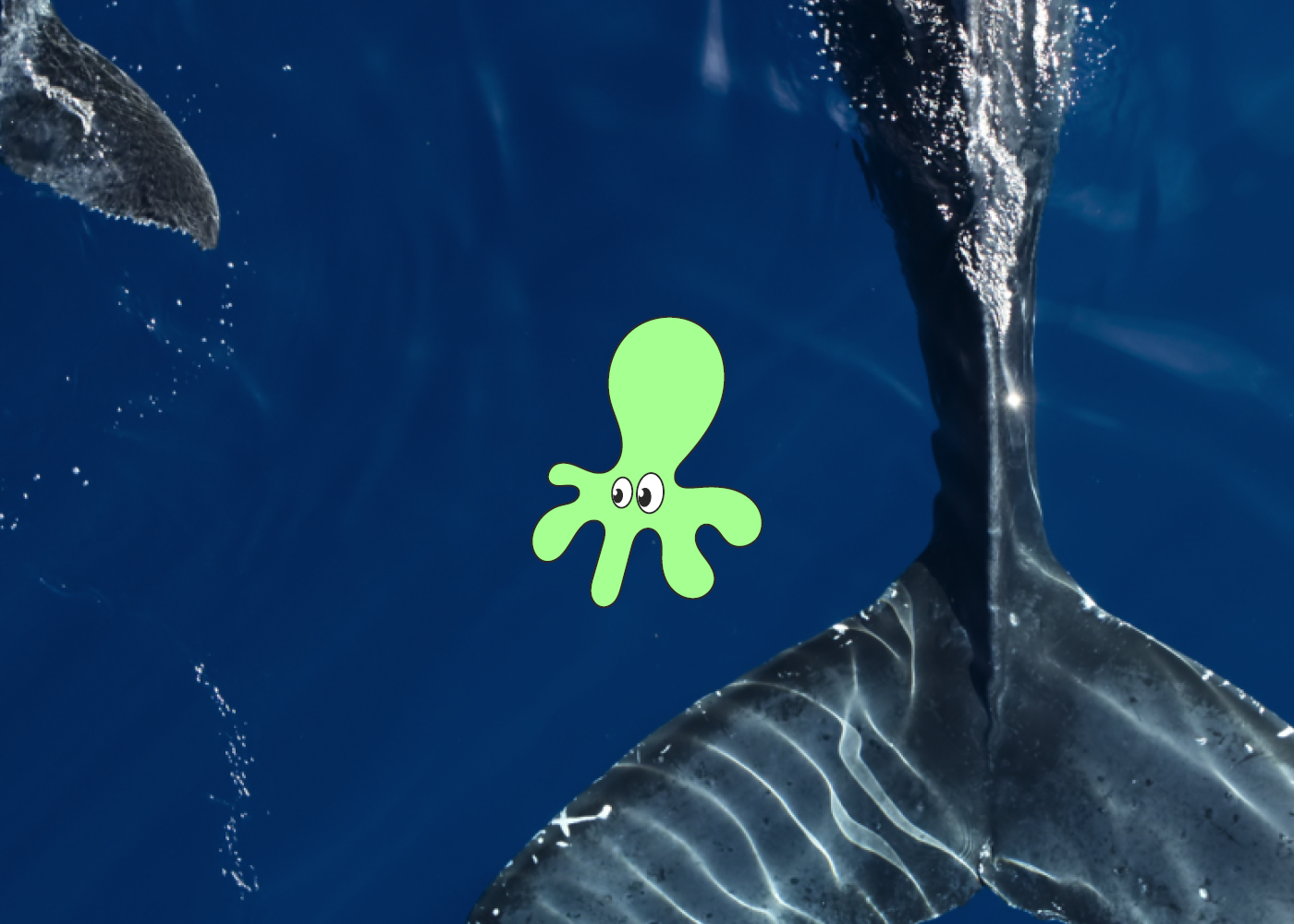 Bilde for For skole: "Our Oceans" visning og samtale