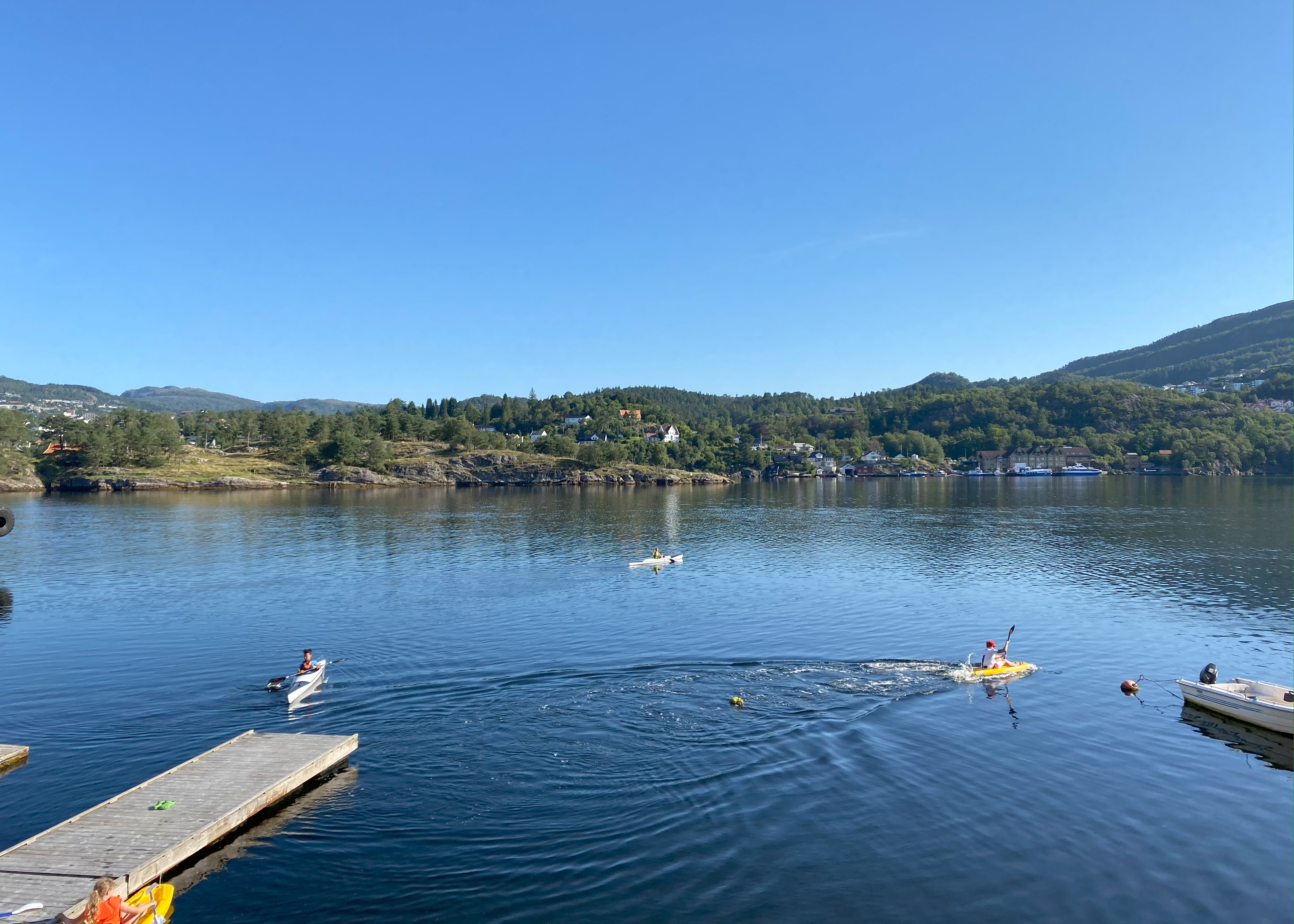 Tre bar som padler hver sin kajakk. Blå himmel og sommer