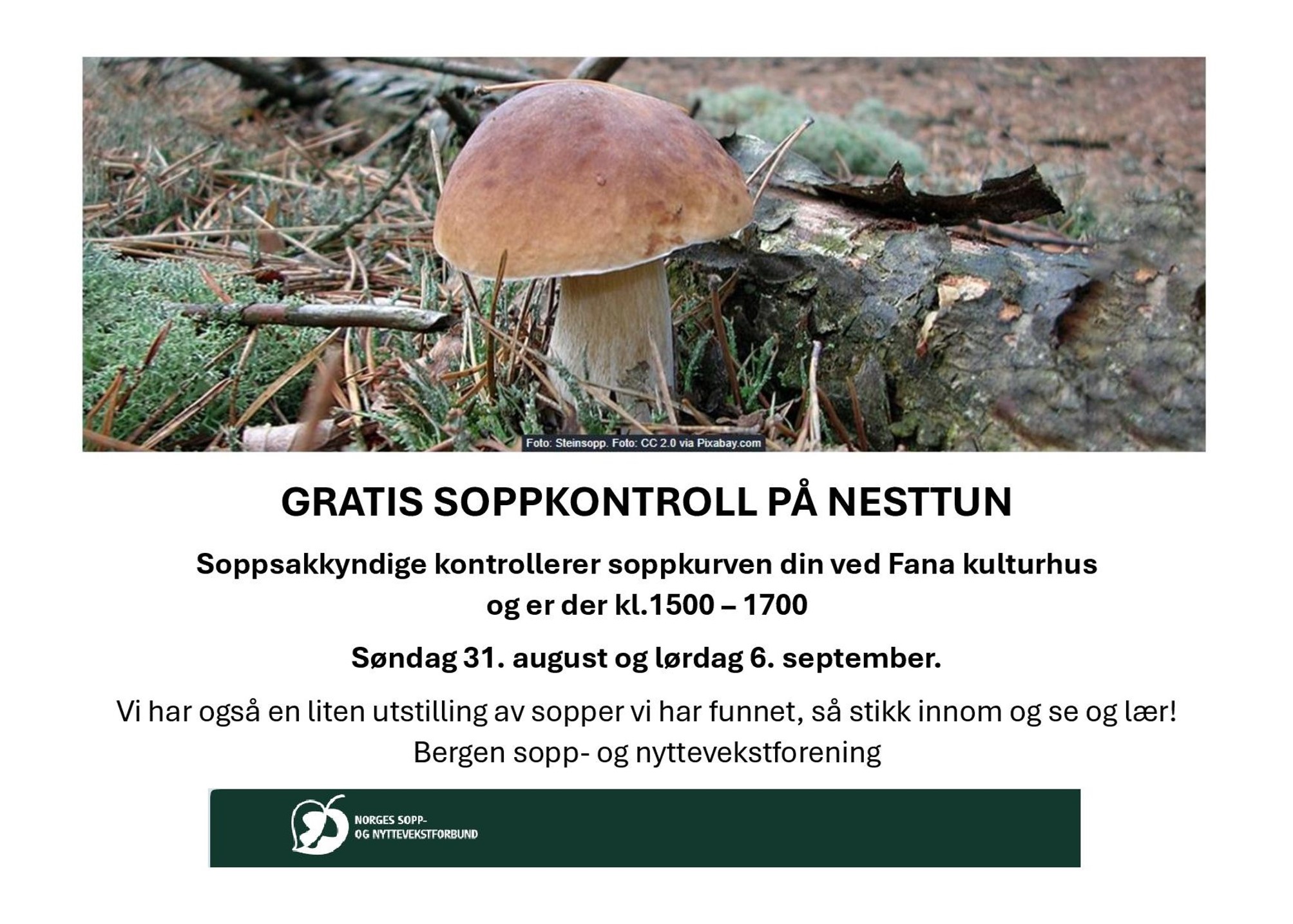 Soppkontroll