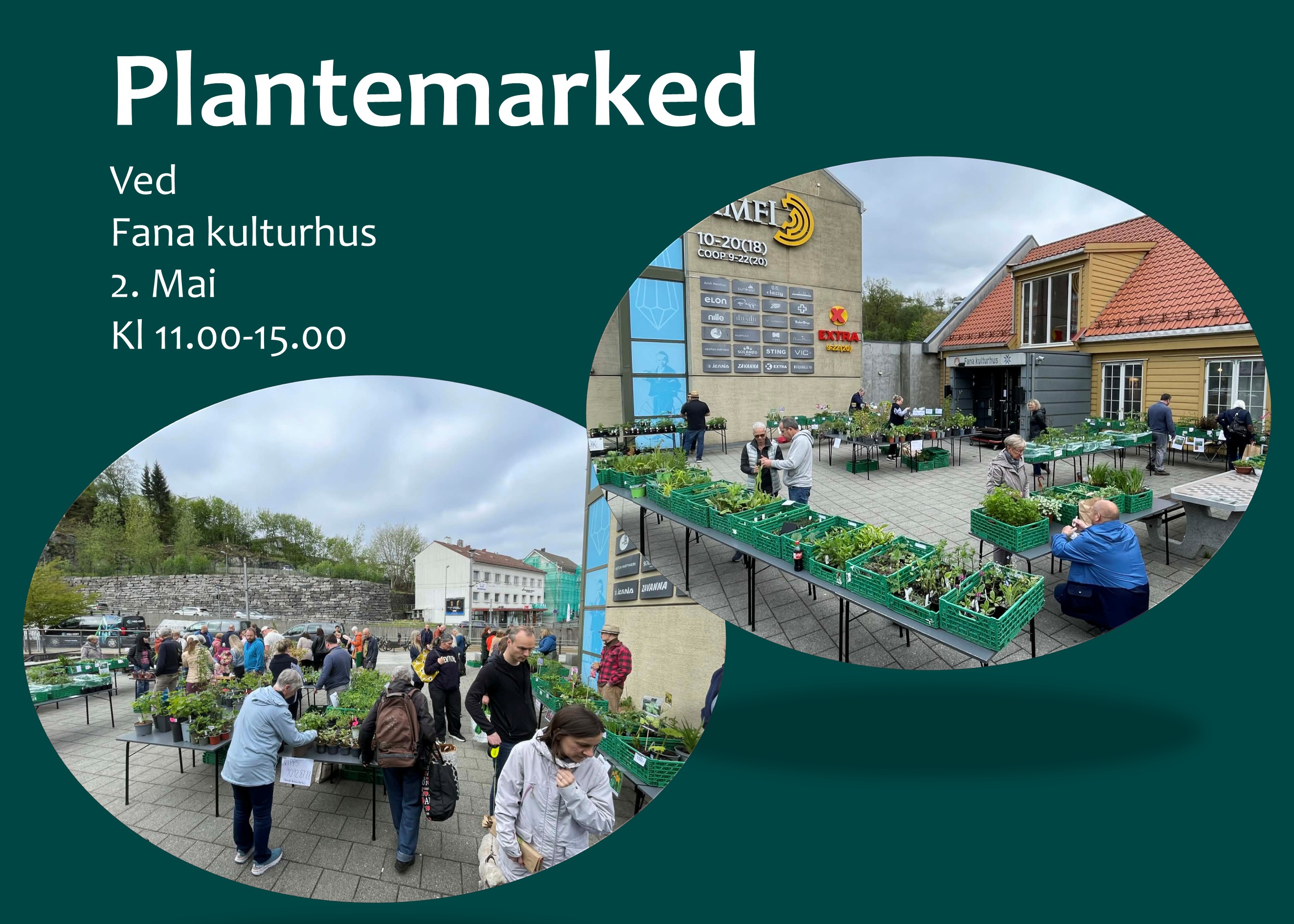 Plantemarked