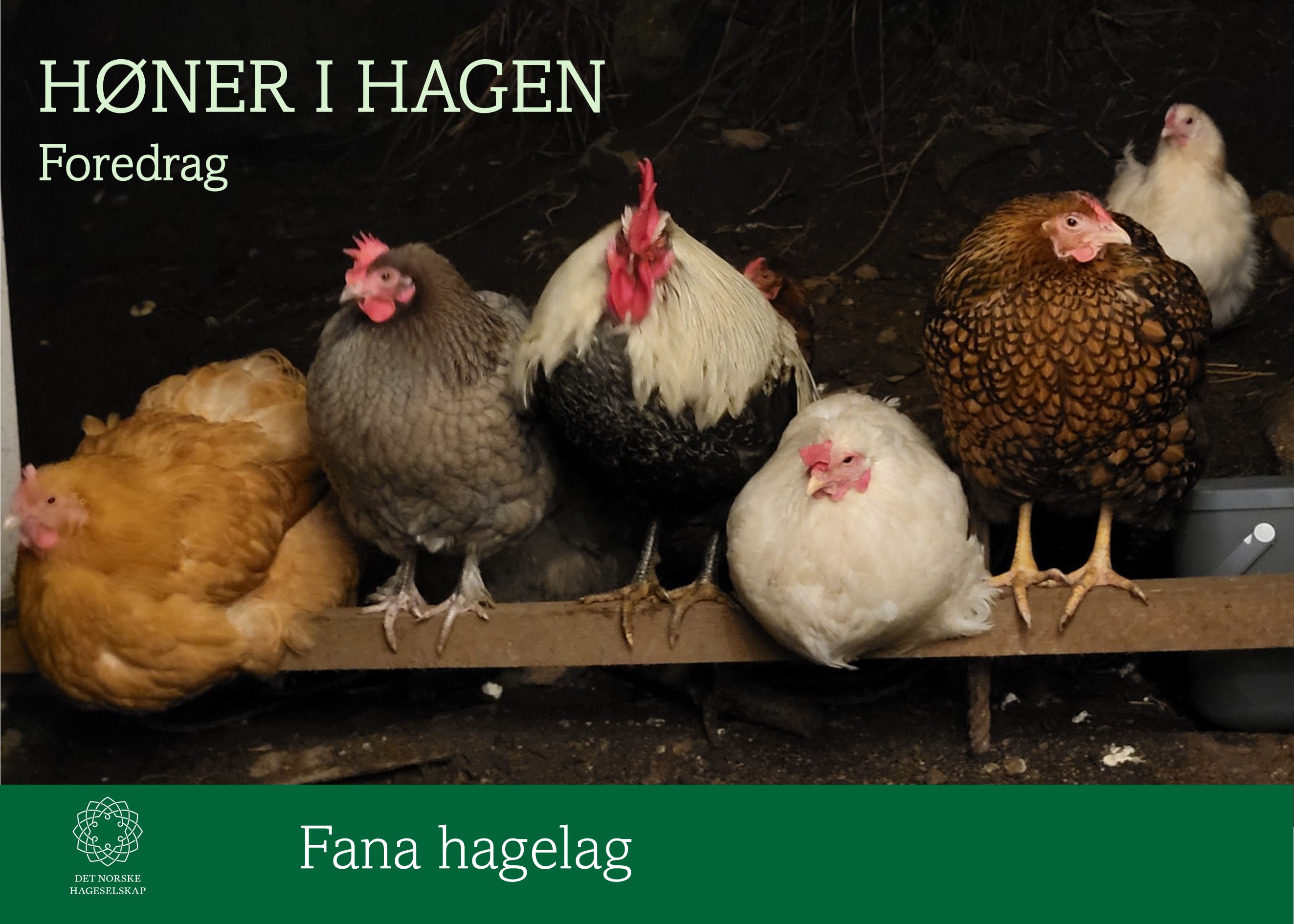 Fana hagelag
