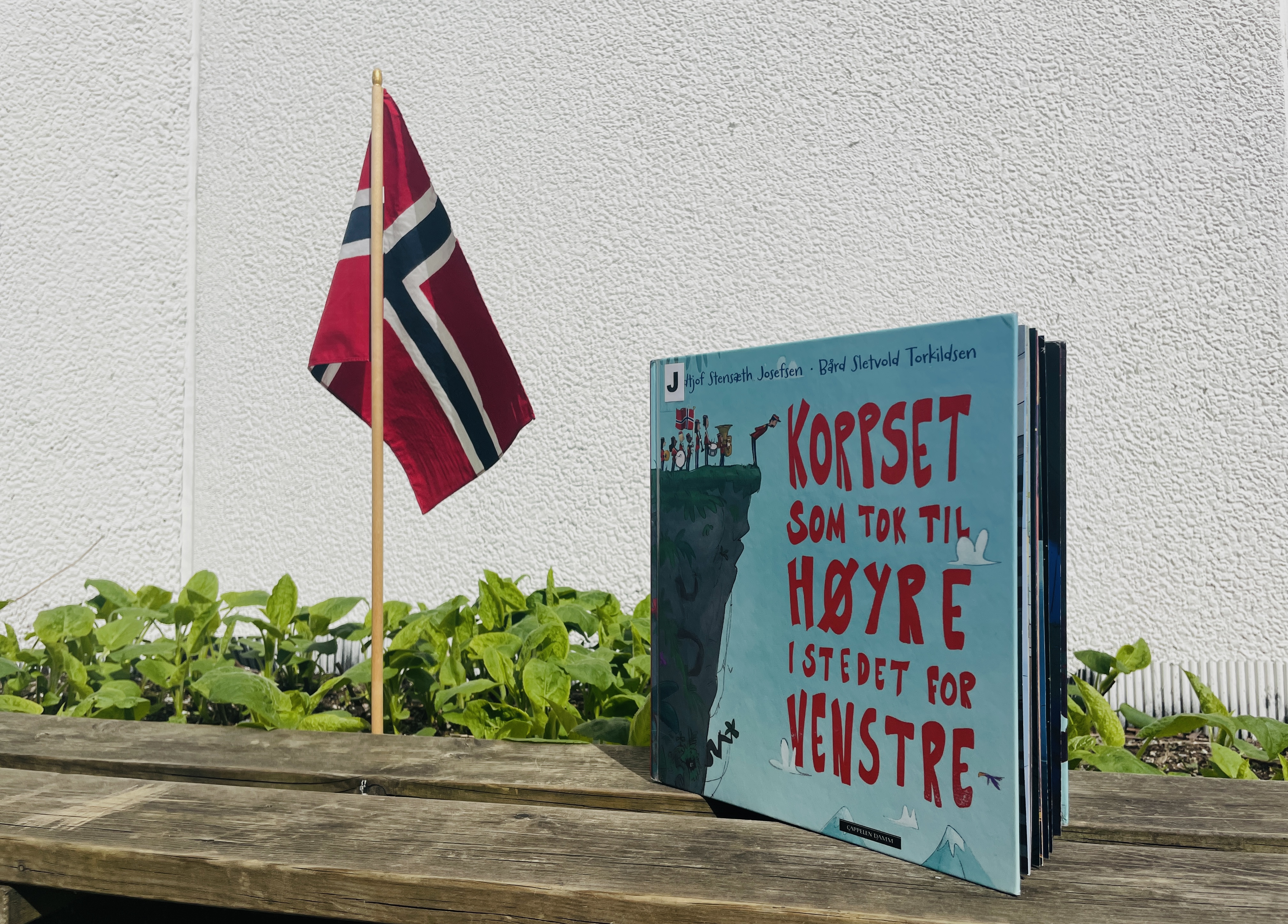 Flagg og bok