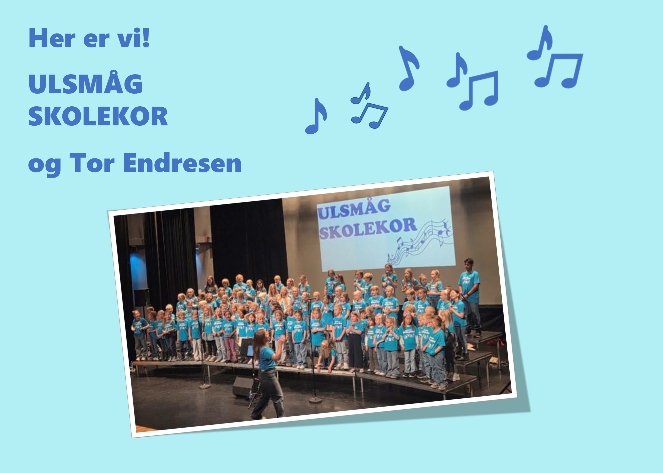 Ulsmåg skolekor