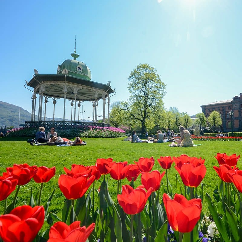 Bilde for Blomsterprakten i sentrum